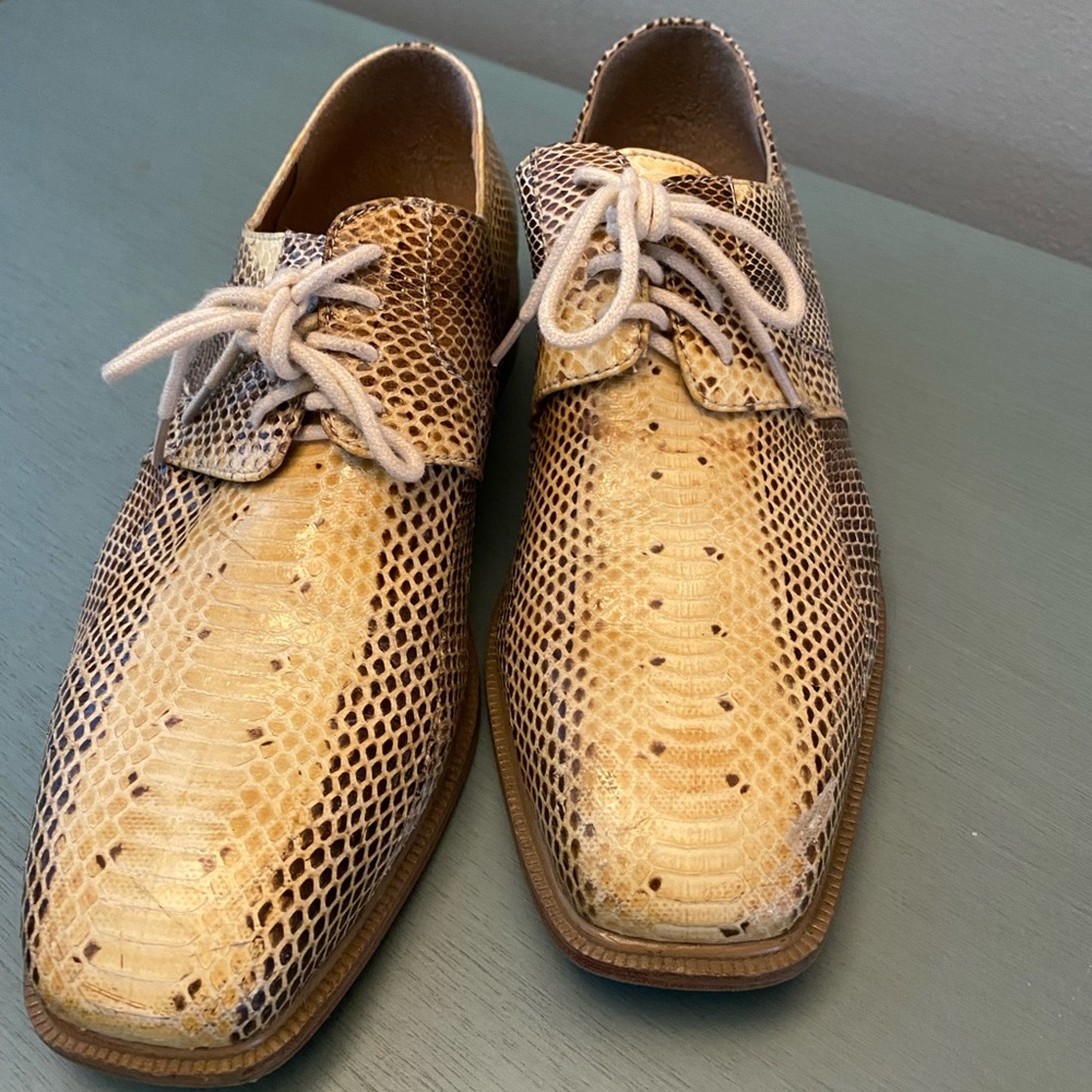 Python Skin Shoes - image 1